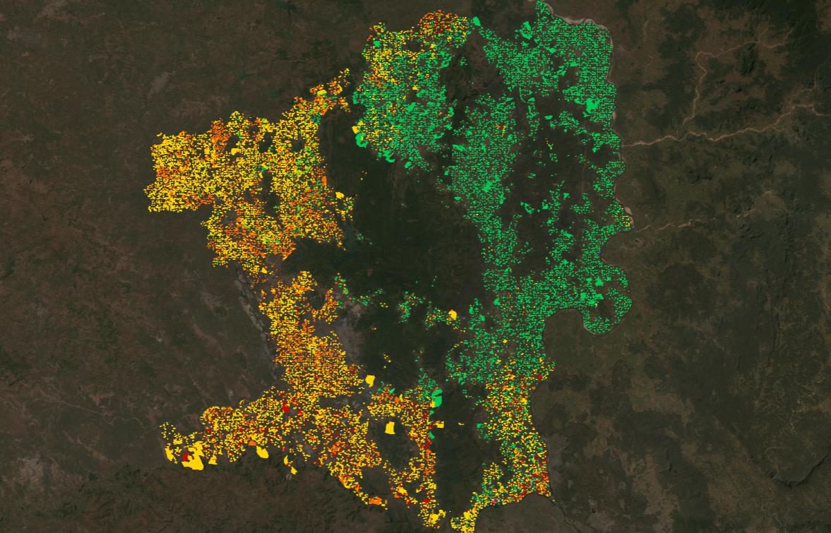 Satellite crop map of Chandrapur district